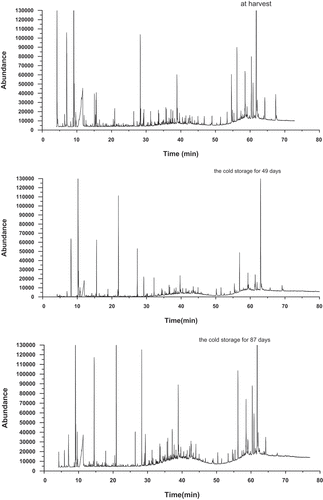 Figure 2. Total ion chromatograms of volatile compounds during cold storage at 0°C and shelf-life period of ‘friar’ plum.