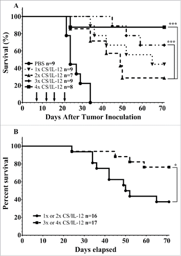 Figure 2. Number of treatments impact initial tumor rejection. (A) Mice were implanted with 75,000 MB49 cells in the bladder and given 1, 2, 3, or 4 intravesical treatments with CS/IL-12 on days 7, 11, 15, and 18, respectively. They were then tracked for hematuria and survival. (B) Survival curves from the same experiment as (A), but with the combined 1 and 2 treatments against the combined 3 and 4 treatments. Asterisks indicate differences between groups determined via the log-rank test: *p < 0.05 or ***p < 0.0005.