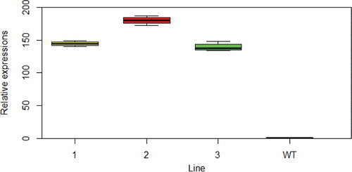 Figure 2. Relative expression of NcEXPA8 in the stem of transgenic Arabidopsis lines and WT. Note: Left to right: line 1, line 2, line 3 and WT.