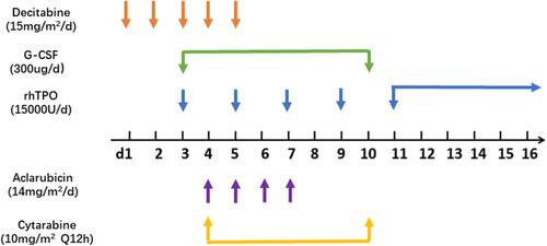 Figure 1 Schematic of the D-CTAG treatment regimen for AML.