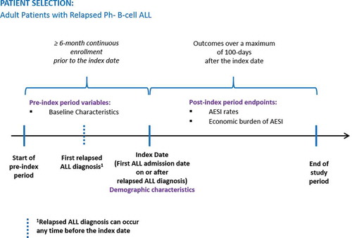 Figure 2. Study period schema.