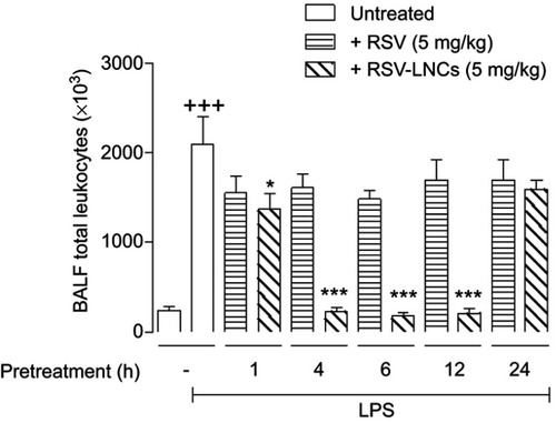 Figure 2 Effect of treatment with RSV or RSV-LNCs on bronchoalveolar accumulation of leukocytes at different time points. A/J mice were orally pretreated with RSV or RSV-LNCs (5 mg/kg) 1 h, 4 h, 6 h, 12 h or 24 h before challenge with LPS. BALF leukocytes were assessed 24 h after LPS provocation.Notes: Data are expressed as the mean ± SEM (n=5–7). +++P<0.001 compared with the saline group; *P<0.05 and *** P<0.001 compared to the LPS group.Abbreviations: RSV, resveratrol; RSV-LNCs, resveratrol-loaded lipid-core nanocapsules; LPS, lipopolysaccharide.