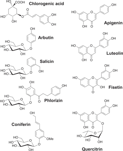 Figure 1 Chemical structures of the flavonoids used to antagonize carcinogen-induced MMP-9 and COX-2 expressions. The different moieties of these compounds are indicated.