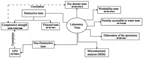 Figure 4. Synoptic diagram of the experimental protocol.