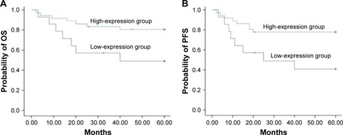 Figure 6 Correlation of HDAC6 expression with patients’ survival receiving R-CHOP regimen.