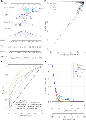 Figure 9 Development of a personalized prognostic prediction nomogram for breast cancer. (A) Nomogram for prediction of the 1-, 2-, 3-, and 5-year survival probability in the The Cancer Genome Atlas dataset. (B) The calibration plots for predicting patient 1-year, 2-year, 3-year and 5-year overall survival. (C) Receiver operating characteristic curve of Age, Stage, RiskScore and Nomogram. (D) Decision curve analysis curve of Age, Stage, RiskScore and Nomogram.
