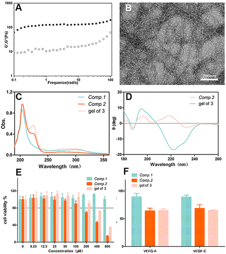 Figure 2 (A) Frequency sweeps of gel of 3, (B) image of gel of 3 prepared by a heating–cooling process (5 mg/mL), (C) UV–Vis spectra of different peptides, (D) Circular dichroism (CD) spectroscopy of a solution of Comp.2 and gel of 3. (E) In vitro cytotoxicity of peptides against HCE-2 cells after incubation for 24 h. (F) Proliferation rate of HUVECs inhibited by 200 μM peptides after incubation for 24 h.