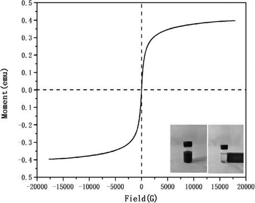 Figure 5. VSM image of Fe3O4@SiO2@propyl@DBU particles.