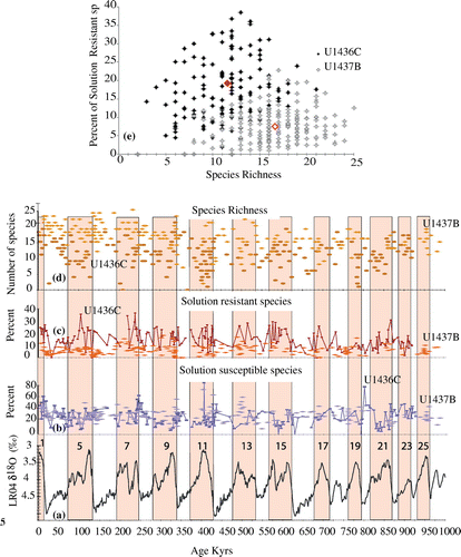 Figure 3. Faunal-based carbonate dissolution proxies. (a) δ18O reference stack of Lisiecki and Raymo (Citation2005) with interglacial intervals Marine Isotopic Stages (MIS) highlighted by pink bars and numbered from 1 to 25 (MIS was omitted for clarity); (b) Percentages of tropical solution susceptible planktonic foraminifers species; (c) Percentages of tropical solution-resistant planktonic foraminifers species. On panels b and c, the values for site 1436C are figured with dark colors and 1437B with light ones; (d) Species richness (1437B light color); (e) Percent of Solution-Resistant Species as a function of Species Richness for each site (empty diamonds 1437B, filled diamond 1436C), averages (red diamonds).