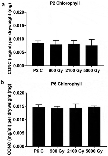 Fig 9. Total cellular content of chlorophyll in: a. strain P2 and b. strain P6 before (C = control) and immediately after a given cumulative dose of 60Co gamma irradiation. Data are mean values, bars = SD.