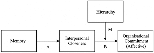 Figure 1. Proposed organizational model of effect of memory on organizational commitment. Memory impacts organizational commitment indirectly through interpersonal closeness. The influence of interpersonal closeness on organizational commitment is more extreme when the involved relationship is with a higher status colleague (e.g., one’s boss).