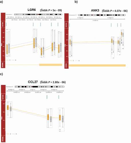 Figure 3. DNA methylation profiles of probes identified within the severe adolescent victimization-associated DMRs, including (a) LGR6 and (b) ANK3 in the age-18 blood, and c) CCL27 in the age-18 buccal epigenome-wide association study.