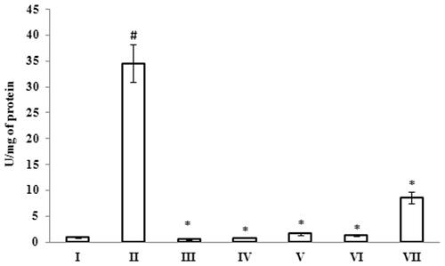 Figure 11. Inhibitory effect of G. acerosa benzene extract on Aβ 25–35 induced increase in caspase-3 activity in mice brain tissue homogenate. The values are expressed as Mean ± SD. *p < 0.05 [Comparisons were made between groups II (Aβ 25–35 peptide treated) Vs I (CMC treated) & III (Aβ 25–35 peptide +200 mg/kg of extract in CMC), IV (Aβ 25–35 peptide +400 mg/kg of extract in CMC), V (400 mg/kg bw of extract), VI (Aβ 25–35 peptide + donepezil), VII (1 mg/kg bw of donepezil) Vs II (Aβ 25–35 peptide treated)].