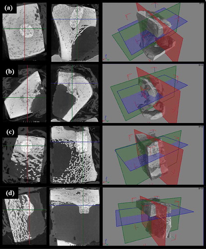 Figure 4. Micro-CT images of specimens: (a) AFS100, (b) AFS300, (c) Si-AFS100, and (d) Si-AFS300.