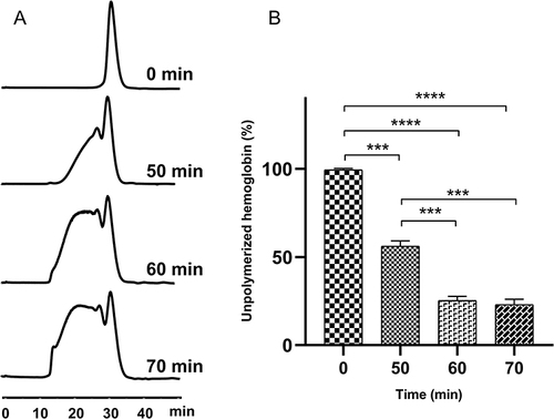 Figure 3 Effects of polymerization time on hemoglobin polymerization on resin. Profiles of PolyHb at different polymerization time (A). Proportions of unpolymerized hemoglobin at different polymerization time (B). Hemoglobin was polymerized under conditions of molar ratios of mGA: mEC = 1: 12 and mHb: mGA = 1: 270 at pH = 8 at different time. ***P < 0.001, ****P < 0.0001.