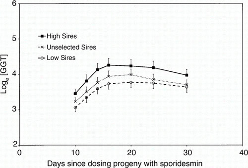 Figure 2.  Mean loge[GGT] of calf groups, sired by Holstein–Friesian bulls that had been scored (performance tested) as weaned calves for response to FE susceptibility, or response to sporidesmin. Five such ‘High’ GGT and five ‘Low’ GGT bulls were selected for progeny testing for response to sporidesmin, alongside the progeny of eight untested/‘unselected’ Holstein–Friesian bulls. Results for progeny are shown in loge i.u./l units (with bars for standard errors of means, shown in one direction) against days since the toxin challenge (from Morris et al. Citation1998).