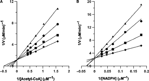 Figure 2.  Double-reciprocal plots for inhibition of FAS by EG-2. (A): The overall reaction of FAS was measured. The concentrations of malonyl-CoA and NADPH were fixed at 9.25 μM and 33.4 μM, respectively. Acetyl-CoA was a variable substrate. The concentrations of EG-2 were 0 (♦); 0.16 μg/mL (▪); 0.33 μg/mL (•); 0.50 μg/mL (▴). (B): The β-ketoacyl reduction reaction was measured. The concentration of ethyl acetoacetate was fixed at 50 mM. NADPH was a variable substrate. The concentrations of EG-2 were 0 (♦); 0.50 μg/mL (▪); 1.00 μg/mL (•); 1.50 μg/mL (▴).