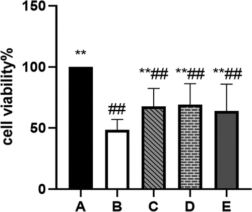 Figure 10. Cell viability determined by CCK8; A: Blank control group, B: Model group, C: Low-dose group, D: Medium-dose group, E: High-dose group; Compared with the model group, *P˂0.05, **P˂0.01; Compared with the blank control group, #P˂0.05, ##P˂0.01.