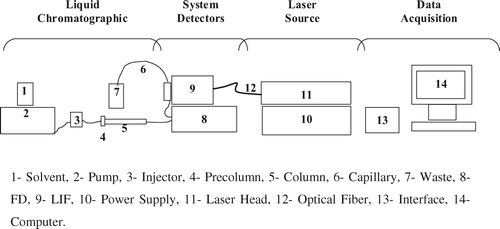 Figure 2. Scheme of HPLC and system detectors. Figura 2. Esquema del sistema de HPLC con los detectores.