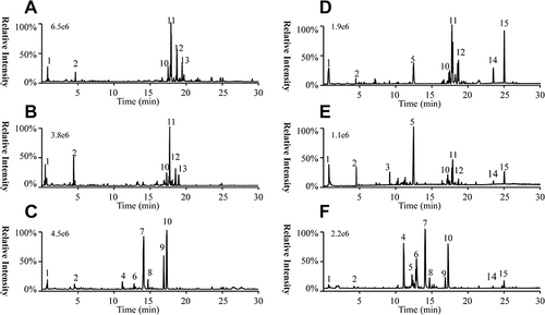 Figure 2 The base peak chromatograms of CAR (A), ARP (B) and ACB (C) in positive mode; the base peak chromatograms of CAR (D), ARP (E) and ACB (F) in negative mode. 1. Alanine; 2. Phenylalanine; 3. Gingerol; 4. Glycocholic acid; 5. Apigenin; 6. Ursodeoxycholic acid; 7. Cholic Acid; 8. Glycolithocholic acid; 9. Chenodeoxycholic acid; 10. Deoxycholic acid; 11, LysoPC(14:0); 12, LysoPC(16:0); 13. LysoPE(18:1); 14. Linolenic acid; 15. Linoleic acid.