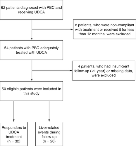 Figure 1. Flowchart of patient selection and outcomes.PBC: Primary biliary cholangitis; UDCA: Ursodeoxycholic acid.