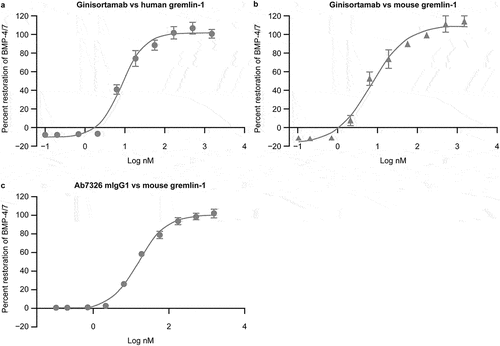 Figure 1. Representative concentration-response curves in the BMP signaling reporter gene assay of ginisortamab against human gremlin-1, mouse gremlin-1, and Ab7326 mIgG1 against mouse gremlin-1. Ginisortamab can inhibit both (a) human and (b) mouse gremlin-1 in a concentration-dependent manner with mean IC50 values (n = 5) of 8.2 nM and 9 nM, respectively. Ab7326 mIgG1 also inhibits mouse gremlin-1 (c) in a dose-dependent manner with mean IC50 values (n = 5) of 18.5 nM, which is comparable to ginisortamab against human and mouse gremlin-1 in this assay system with the concentrations of ligands used within the detection limits of the assay.