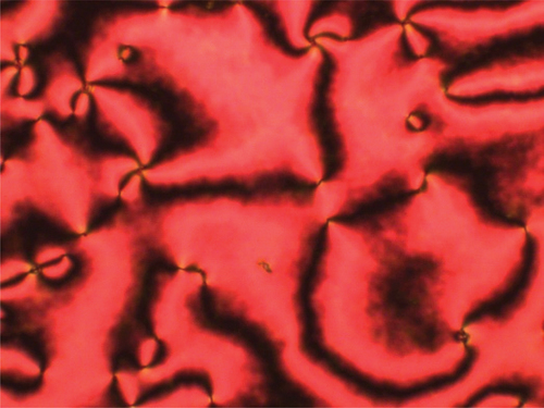 Figure 9. (Colour online) The nematic schlieren texture exhibited by CB7S9CB (T = 95°C).