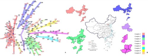Figure 2. The MS tree and distribution of complexes 1–5. A is the MS tree constructed by SNPs of 183 B. melitensis from China. The letters represent the provinces the strains were isolated from which the strains were isolated; red colour indicates the rough B. melitensis strains, and black colour indicates smooth B. melitensis strains. BJ, Beijing; FJ, Fujian; GD, Guangdong; GS, Gansu; GX, Guangxi; GZ, Guizhou; HA, Henan; HB, Hubei; HE, Hebei; HI, Hainan; HN, Hunan; JL, Jilin; JX, Jiangxi; LN, Liaoning; NM, Inner Mongolia; NX, Ningxia; QH, Qinghai; SD, Shandong; SN, Shaanxi; SX, Shanxi; XJ, Xingjiang; ZJ, Zhejiang. B shows the distribution of complexes 1–5. The different colours represent different complexes.