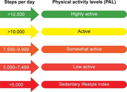 Figure 1 Pedometer indices for public health.