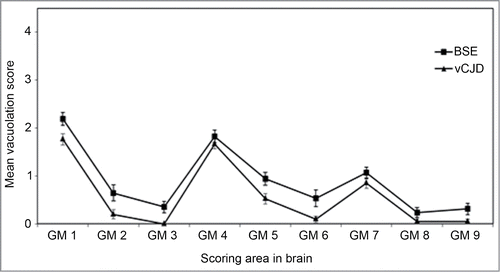 Figure 1. Vacuolation scoring in the mouse brain. Lesion profile comparison of vCJD and BSE following transmission to RIII mice. Data shows mean lesion profile ± standard error of the mean (n ≥ 6). G1-G9, gray matter scoring regions; (G1) dorsal medulla, (G2) cerebellar cortex, (G3) superior colliculus, (G4) hypothalamus, (G5) thalamus, (G6) hippocampus, (G7) septum, (G8) retrosplenial and adjacent motor cortex, (G9) cingulate and adjacent motor cortex.
