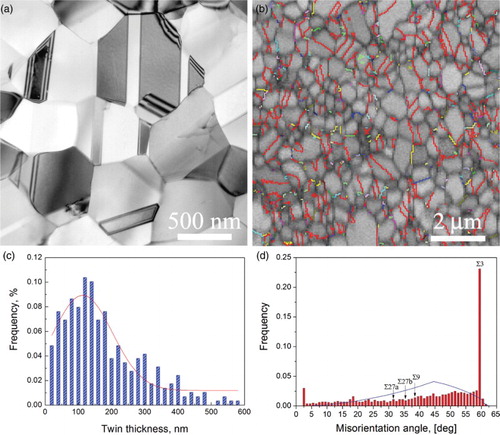 Figure 1. (a) Typical TEM micrograph showing the UFG microstructure produced by phase reversion transformation, (b) EBSD image. The black lines denote random GBs and the colored lines represent coincident-site lattice boundaries, of which the Σ3 TBs are represented by red lines, (c) distribution of twin thickness, (d) distribution of GB misorientation angles.