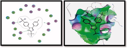 Figure 7. 2D (left image) and 3D (right image) interaction of ligand SC-558 in the active site of COX-2 receptor. It is possible to observe the binding using H-bond to His90 and Tyr355 amino acids.
