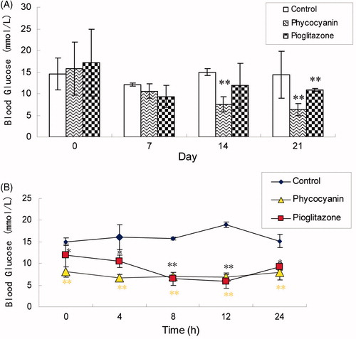 Figure 3. Effects of PC on blood glucose levels (A) and 24-h random blood glucose levels (B) of KKAy mice. Blood samples were obtained from the tail vein of the mice and their glucose levels were tested by blood glucose test strips. Results are expressed as means ± SD for 8–10 mice in each group (*p < 0.05, **p < 0.01 versus KKAy group).