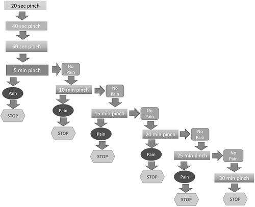 Figure 1 Study flow chart.