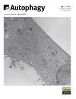 Cover image for Autophagy, Volume 9, Issue 2, 2013
