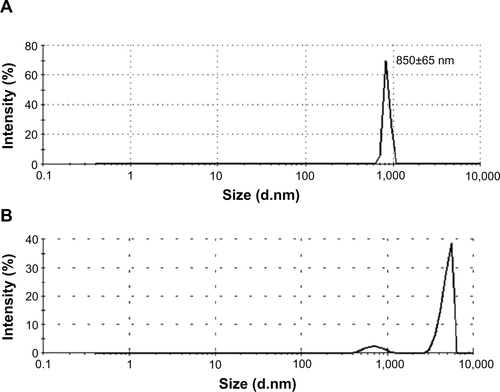 Figure S1 Size distribution of Fe3O4@C particles by dynamic light scattering.Notes: (A) Intensity distribution of Fe3O4@C particles. (B) Size distribution of Fe3O4@C particles without sonication.