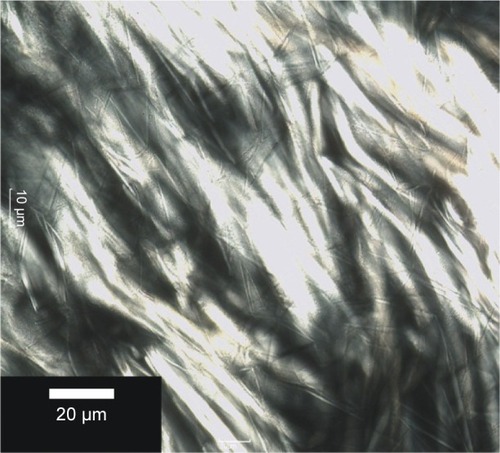 Figure 6 Photomicrograph of a hexagonal liquid crystal prepared with Ceteth 10, isopropyl palmitate, and water. Magnified 20×. Journal of Sol-Gel Science and Technology. Manaia EB, Kaminski RCK, Soares CP, Meneau F, Pulcinelli SH, Santilli CV, Chiavacci LA. Liquid crystalline formulations containing modified surface TiO2 nanoparticles obtained by sol-gel process. 63, 2012, 251–257 (© Springer Science + Business Media, LLC 2012). With the permission of Springer.Citation23