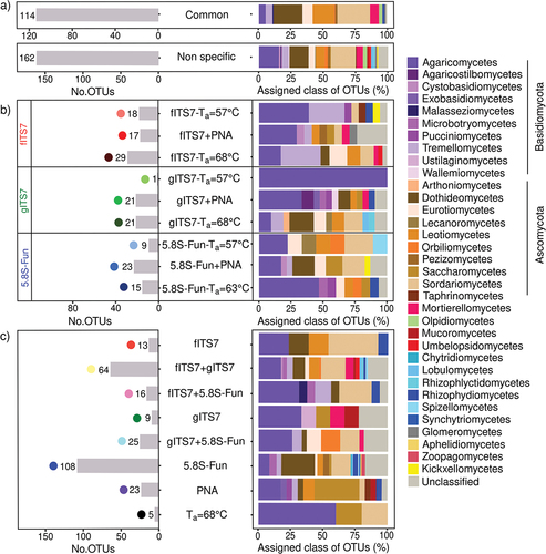 Figure 5. Representative classes and phyla of (a) non-specific or (b–c) specific OTUs of fungal community in Urtica dioica roots according to primer pairs (fITS7/ITS4, gITS7/ITS4, and 5.8S-Fun/ITS4-fun) and conditions used, as well as the number of OTUs corresponding. “Common” corresponds to the OTUs that were found in all PCR conditions with the three primer pairs. “Non-specific” corresponds to the OTUs that were found in at least one condition (Ta = 57 °C; +PNA or Ta = 68–63 °C) of PCR with the three primer pairs.