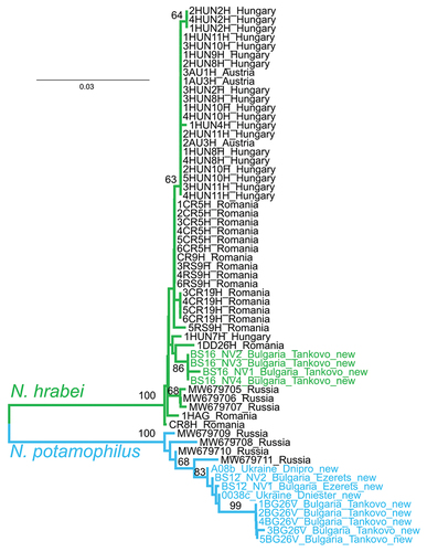 Figure 4. Neighbor-Joining tree depicting the relationship between our newly generated sequences (shown with colored text) and those from previous studies. Numbers at nodes are bootstrap support values (not shown if <60%).