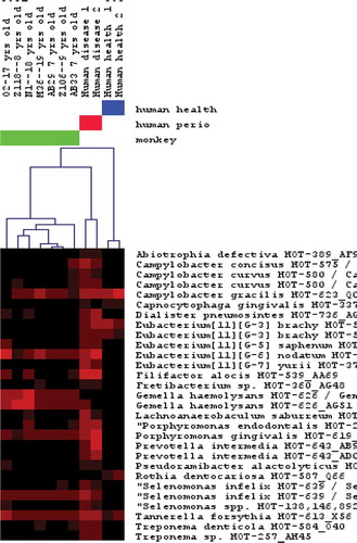 Figure 1. Cluster analysis of macaque and human oral microbiomes in health and disease.