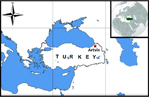 Figure 1. Map of Turkey and Artvin town location in the country.