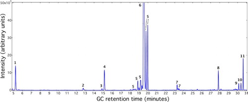 Figure 2. Representative gas chromatograph of reaction mixtures from Diels−Alder reaction between furan and 1-dodecene over niobic acid. The reaction temperature was 250°C, and the reaction time was 6 hours.