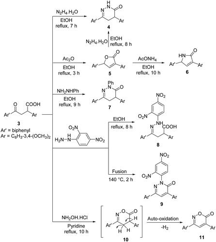 Scheme 2. Synthetic pathway of compounds 4-11.