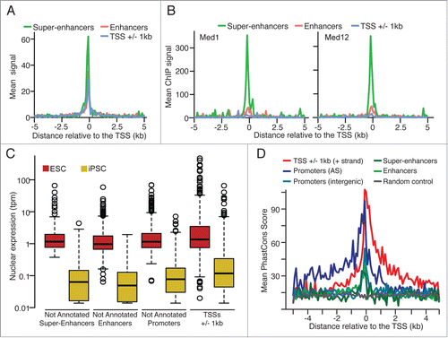 Figure 2. (A) Mean DNaseI hypersensitivity signal density (ENCODE data, ES-E14 cellsCitation7) and (B) mean ChIP-Seq signal density for Mediator subunits Med1 and Med12Citation14 for the not annotated super-enhancer, enhancer and annotated TSSs. (C) Normalized nuclear expression (tpm: tags per million) and (D) mean PhastCons score (Euarchontoglires, 30 species, UCSC) for the CAGE tag clusters significantly up-regulated in ESC (edgeR, FDR < 0.05, FC > 8).