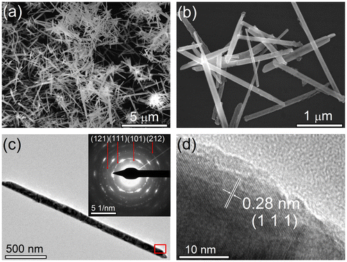 Figure 2. (a) Low and (b) high-resolution SEM images of the as-prepared CoTe2 nanorods synthesized at Te/Co molar ratio of 2 in the absence of NaOH. (c) Typical TEM image of an individual CoTe2 nanorod. The inset shows a corresponding SAED pattern; (d) HRTEM image taken from the red rectangular area in (c).