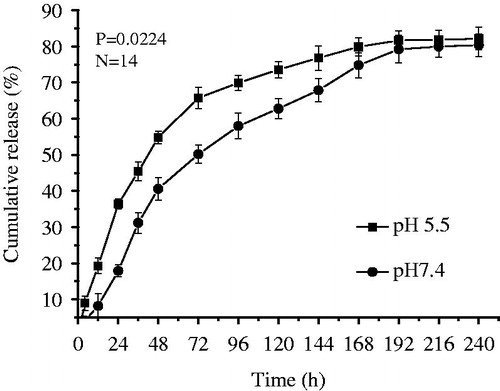 Figure 3. Cumulative release profiles of EPB from Bio-CS-PLGA NPs.