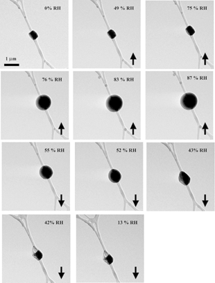 FIG. 5 Images of a NaCl particle as the RH is increased from 0 to 87% and then decreased from 87 to 13% at ∼ 279 K. The up arrows indicate increasing water vapor pressure, and the down arrows indicate decreasing water vapor pressure in the environmental cell of the ETEM.
