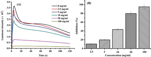 FIGURE 1 Inhibition of different concentrations of duck gizzard peptides to superoxide anion free radicals.