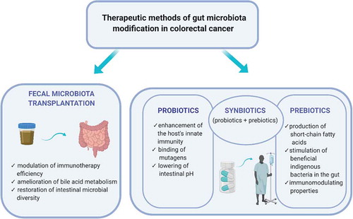 Figure 1. The selected effects of therapeutic methods of gut microbiota modification on colorectal cancer management – fecal microbiota transplantation and the administration of pre-, pro-, and synbiotics. The scheme is our own interpretation of results in the literature.Citation37,38