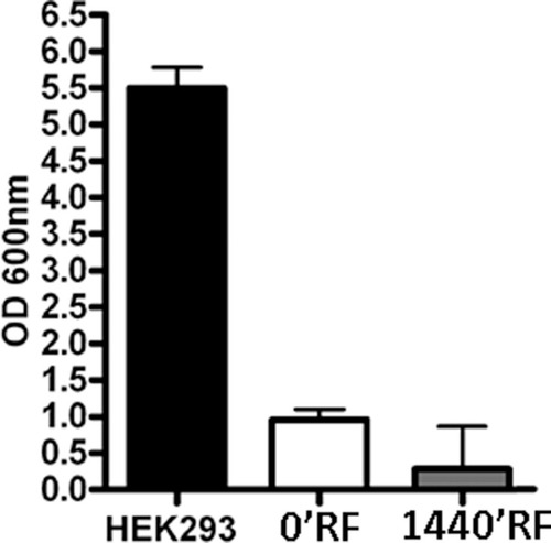 Figure 5 Effects on anchorage-independent growth of Mesenchymal Stem Cells (MSCs) after Radiofrequency (RF) exposure. Graphical representation of optical density readings at OD 600 nm derived from methanol elution of the crystal violet stain for each condition (n=3, ± SD).